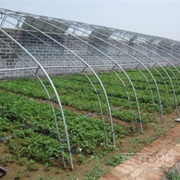【优质农业种植大棚配件大棚设施椭圆管拱棚养殖专用】-