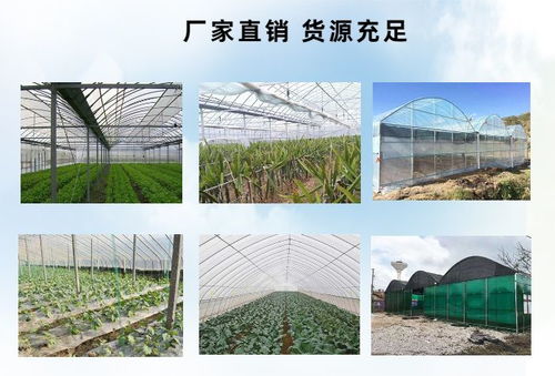 宏阳温室移动苗床厂家 图 温室移动苗床报价 呈贡移动苗床