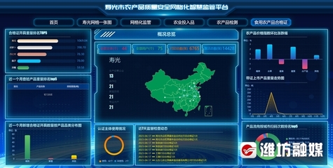 稳扎稳打有干头 | 潍坊寿光 “数字+”激活农业新质生产力 大棚里的“智慧革命”
