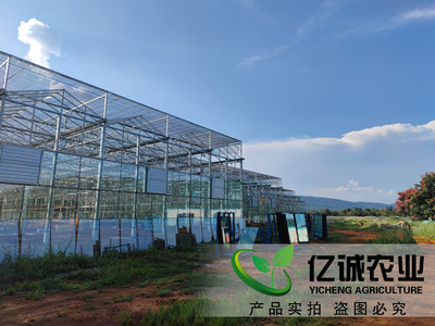 温室大棚制造厂家施工现场案例-温室工程出口图片_青州市亿诚农业科技