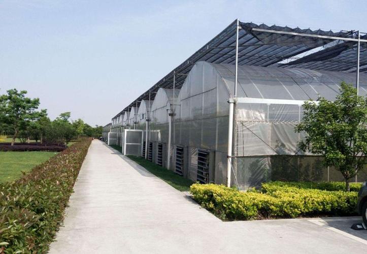 【花卉连栋温室大棚多少钱 蝴蝶兰大棚建造】批发