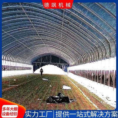 专业做蔬菜大棚图片