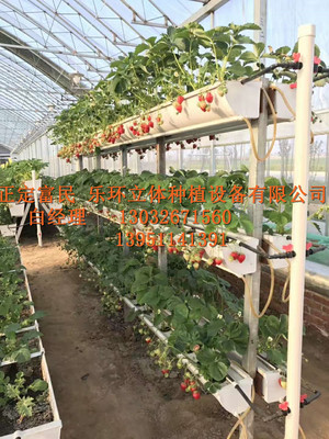【18新品立体草莓种植槽 育苗槽】价格,厂家,大棚设施