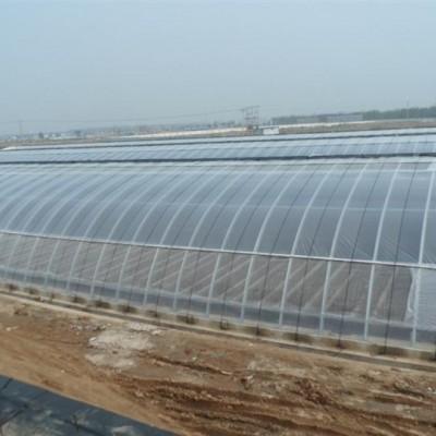 兰州造价6万元的农业大棚是什么类型？附大棚选型与图片参考