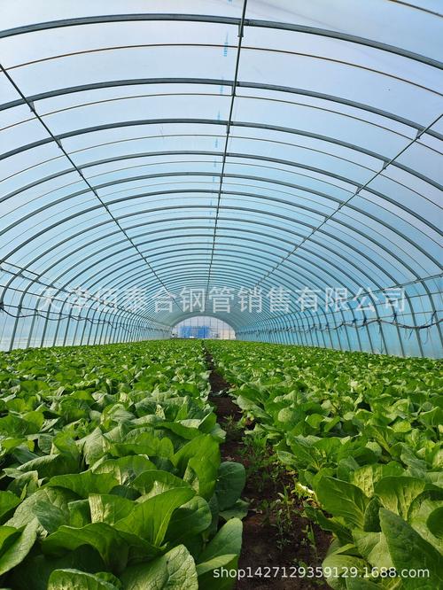 专业生产温室工程材料 镀带方管、椭圆大棚管、镀锌椭圆管与镀锌带圆管详解