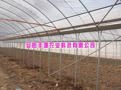 安阳丰源农业 连栋大棚厂家的创新技术与产品展示
